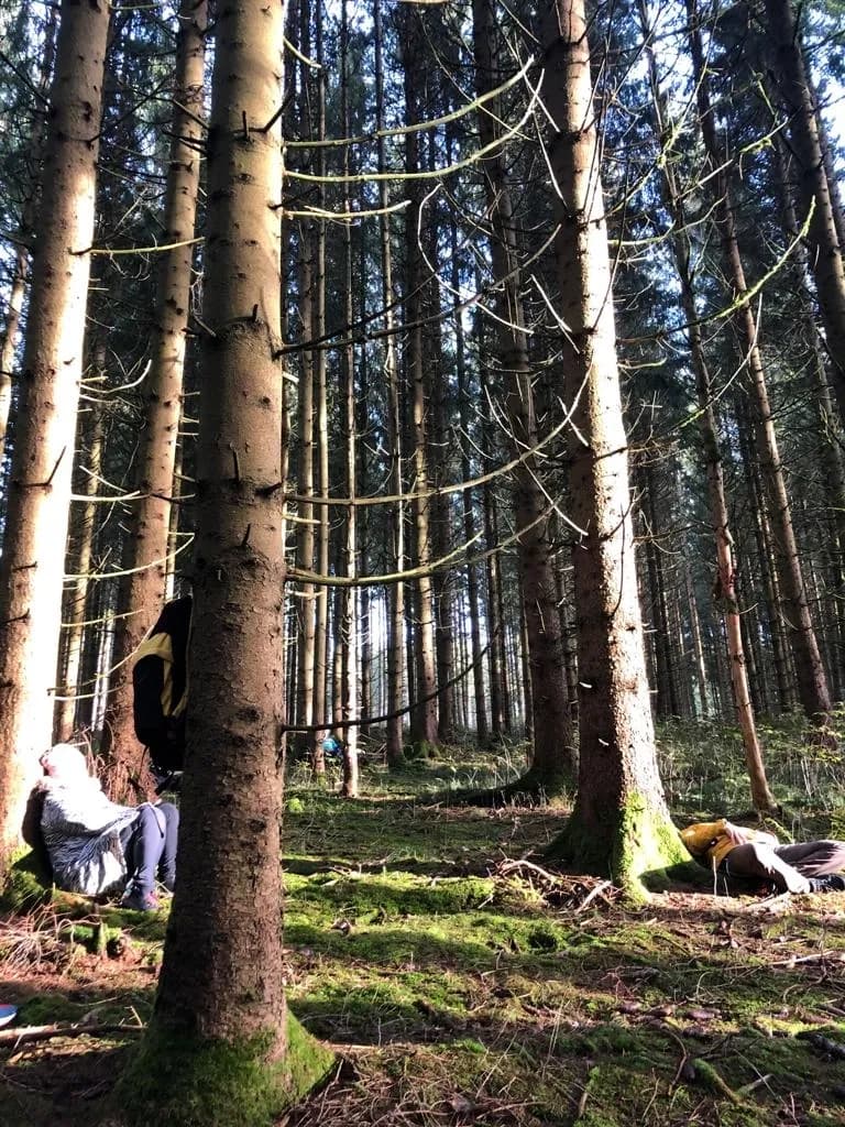 Waldbaden Galerie Bild 8